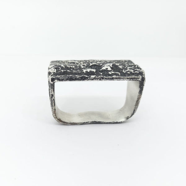 Bague double vue de face